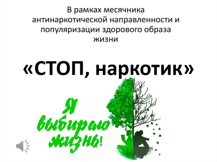 Месячник по антинаркотической пропаганде.